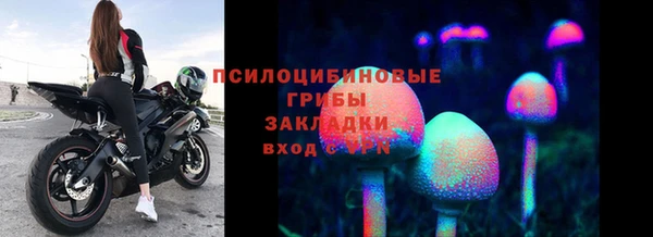 герыч Михайлов