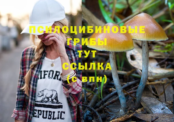 гашиш Бикин