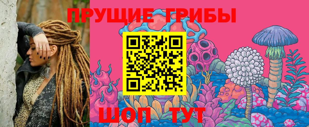 Моздок  Псилоцибиновые грибы мухоморы  Вход с VPN 
