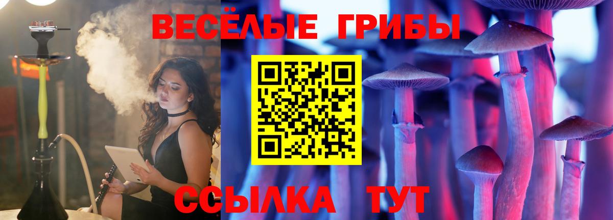 Галлюциногенные грибы мицелий  Моздок 